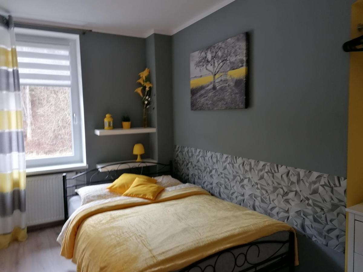 Apartament Grosik ドゥシュニキ・ズドルイ エクステリア 写真